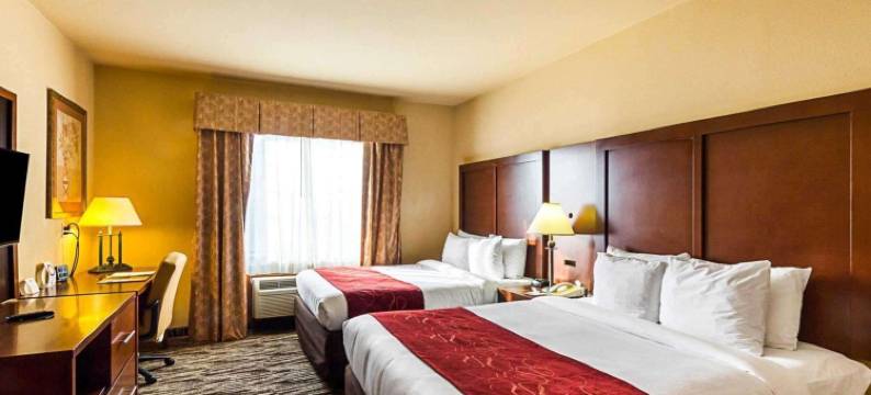 麦卡伦机场和La Plaza购物中心舒适套房酒店(Comfort Suites McAllen Airport and la Plaza Mall)图片