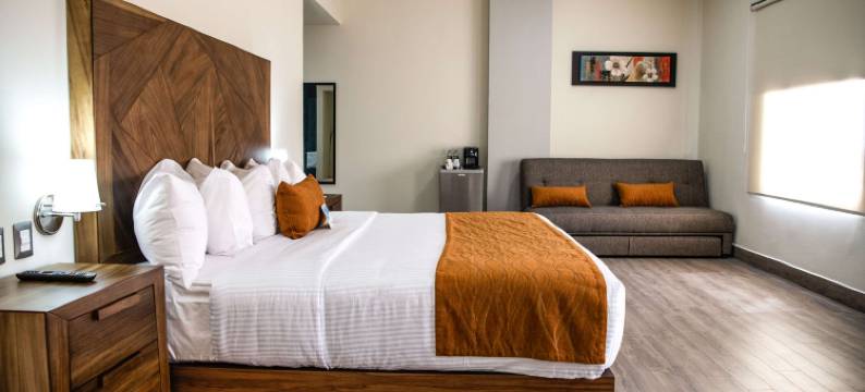 伊拉帕托舒适酒店(Comfort Inn Irapuato)图片