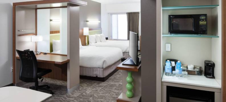奥兰多海洋世界SpringHill Suites酒店(SpringHill Suites Orlando at SeaWorld)图片