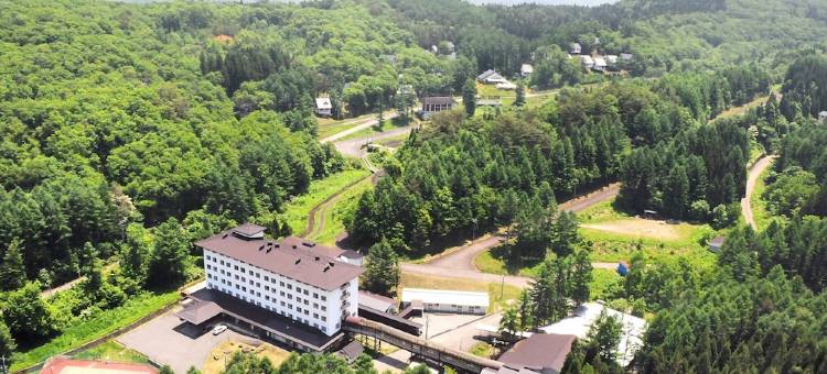 龙崎水疗度假村(Hotel Ryu Resort and Spa)图片