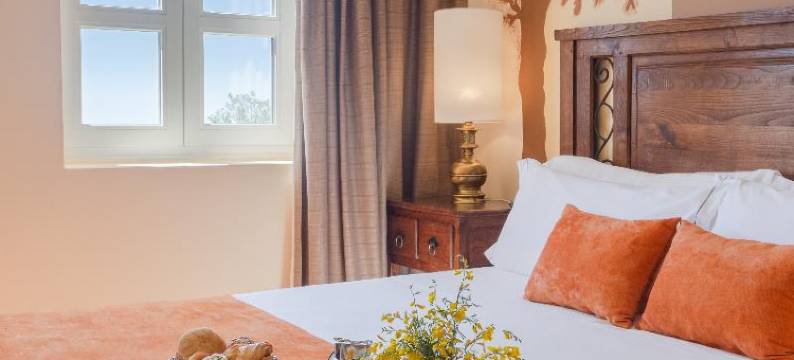 月神埃斯特雷拉塞拉酒店(Luna Hotel Serra da Estrela)图片