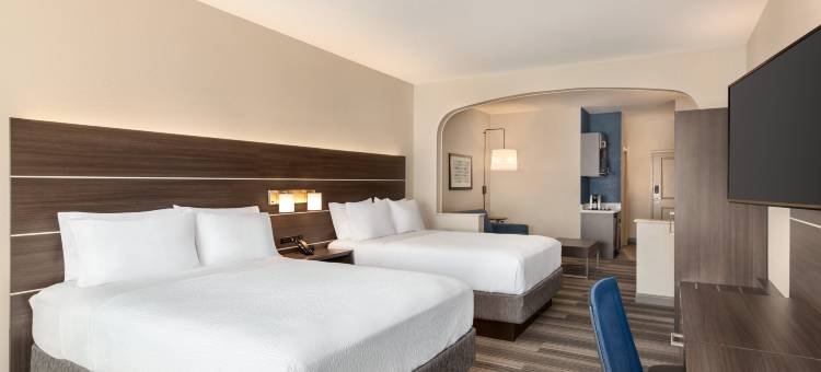 智选假日套房酒店丹佛机场(Holiday Inn Express & Suites Denver Airport)图片