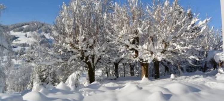贝尔韦达雷餐厅酒店(Hotel Restaurant Belvedere)图片