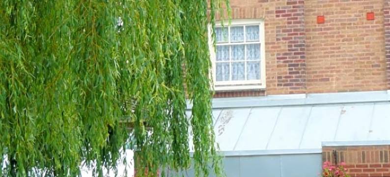 路德国王别墅酒店(Luther King House)图片