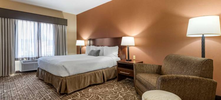 切尔西贝斯特韦斯特优质酒店(Best Western Plus Chelsea Hotel)图片