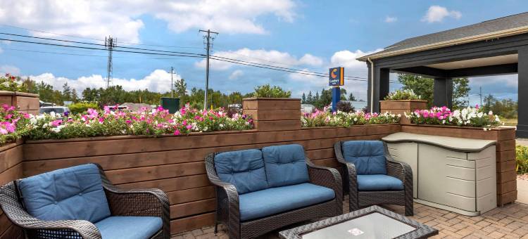 鲟鱼瀑布舒适酒店(Comfort Inn)图片