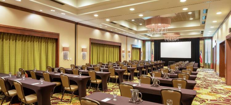 休斯顿市中心希尔顿安泊酒店(Embassy Suites by Hilton Houston Downtown)图片