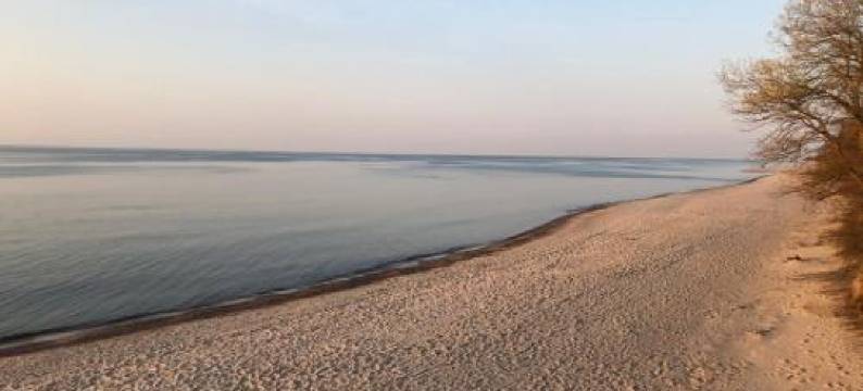 琥珀膳食旅馆(Pensjonat Amber)图片