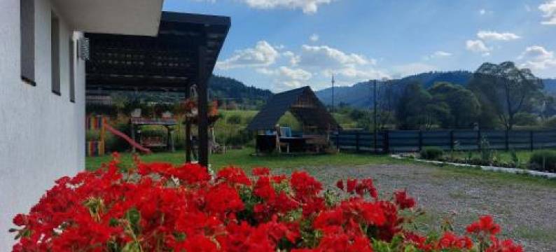 Pensiunea Poiana Dornei图片