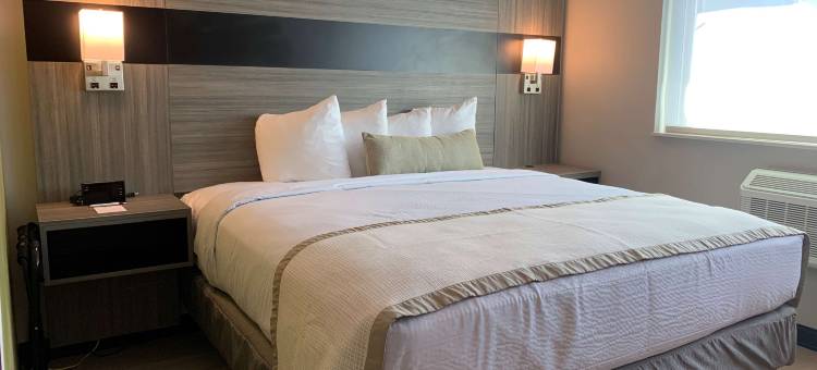 布鲁克林展望公园贝斯特韦斯特优质酒店(Best Western Plus Brooklyn-Prospect Park)图片