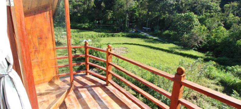 帕迪生态小屋酒店(Padi Ecolodge)图片