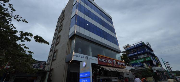 Royal Ace Stopover图片