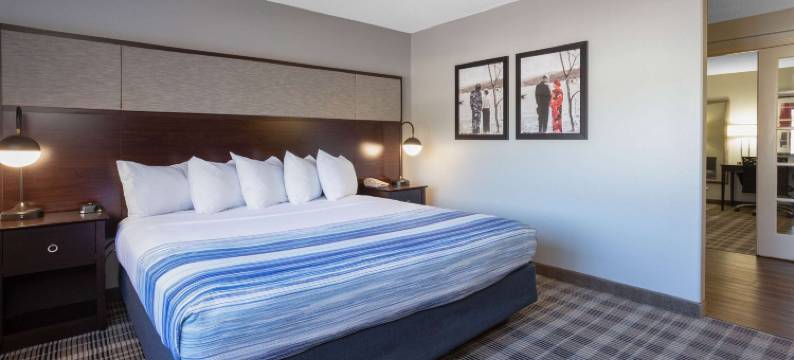 麦迪逊南美吟温德姆酒店(AmericInn by Wyndham Madison South)图片