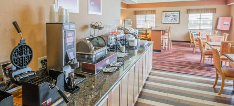 纽约州游乐场舒适酒店(Comfort Inn - Nys Fairgrounds)图片