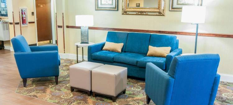 新荷兰阿米什乡村舒适酒店(Comfort Inn Amish Country)图片