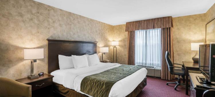 瓦拉瓦拉舒适套房酒店(Comfort Inn & Suites)图片