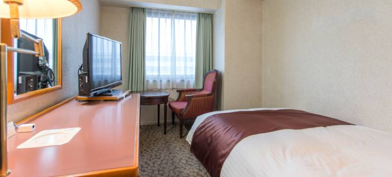 东京新白河Daiichi酒店(Tokyo Daiichi Hotel Shinshirakawa)图片