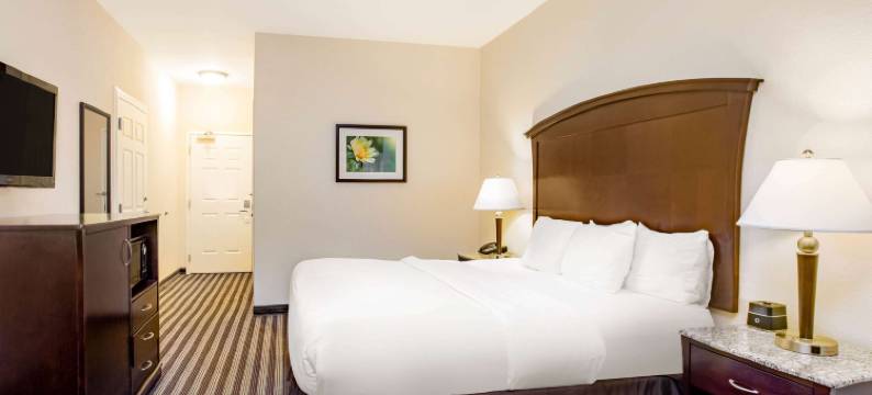 福勒拉昆塔温德姆套房酒店(La Quinta Inn & Suites by Wyndham Fowler)图片