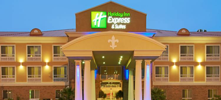 智选假日套房酒店亚历山德里亚(Holiday Inn Express & Suites Alexandria)图片