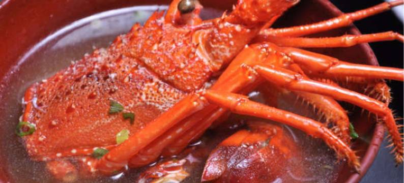 海星松龙园酒店(Hotel Shouryuen Kaisei)图片