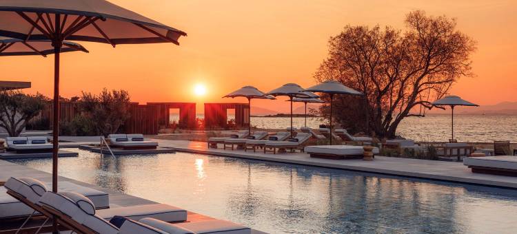 One&Only雅致酒店(One&Only Aesthesis)图片