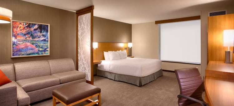 圣乔治凯悦嘉轩酒店-会议中心(Hyatt Place St George/Convention Center)图片