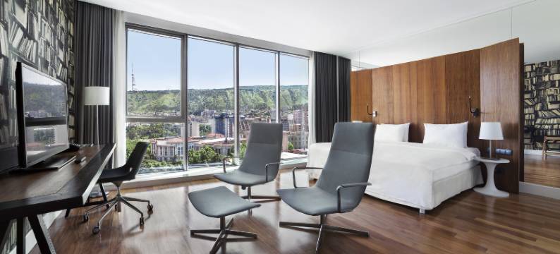 Holiday Inn 第比利斯(Holiday Inn TBILISI by IHG)图片