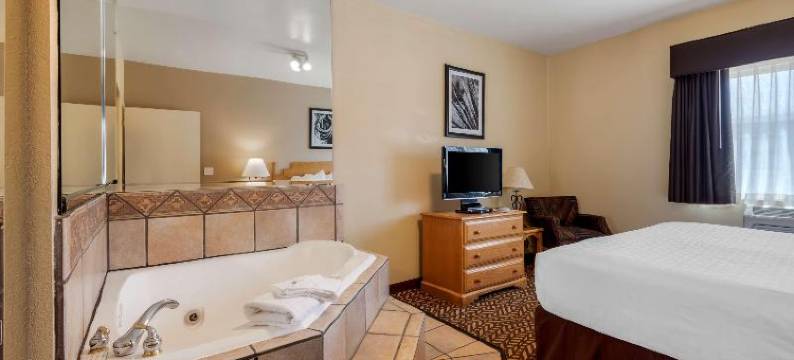 绿松石贝斯特韦斯特套房酒店(Best Western Turquoise Inn  Suites)图片