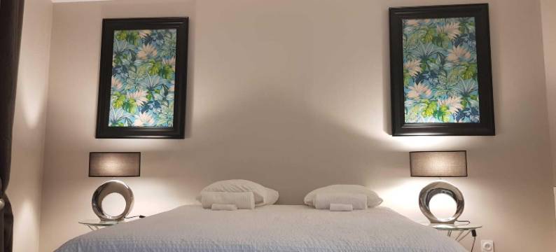 福瑞尔公寓(Appart' Hôtel Fauriel Saint Etienne Avec Parking)图片