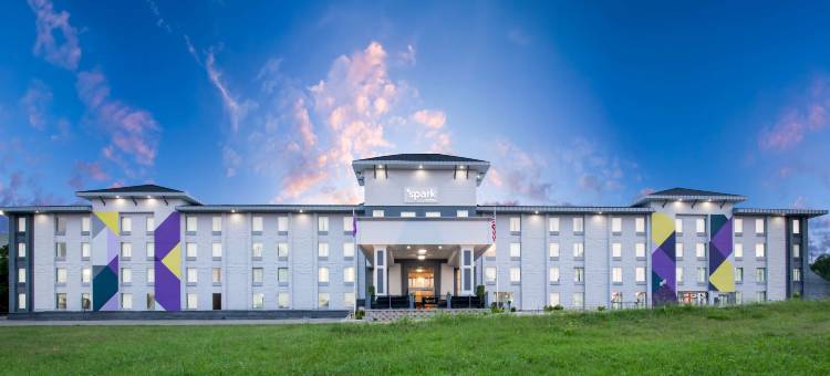 Spark by Hilton Branson Meadows图片