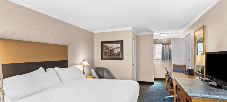 大学旅舍贝斯特韦斯特酒店(Best Western University Lodge)图片