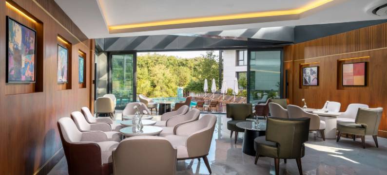 伊斯坦布尔机场丽柏酒店(Park Inn by Radisson Istanbul Airport, Odayeri)图片