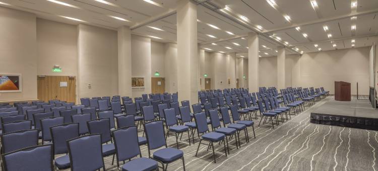 阿瓜斯卡连特斯假日酒店及套房(Holiday Inn & Suites Aguascalientes)图片