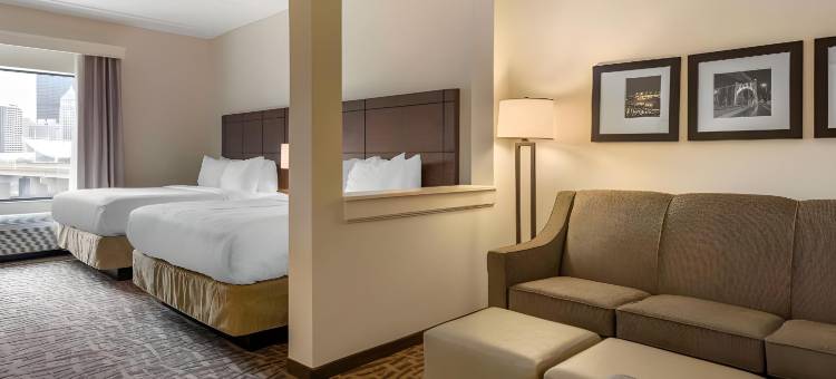 匹兹堡北岸舒适套房酒店(Comfort Inn & Suites Pittsburgh-Northshore)图片