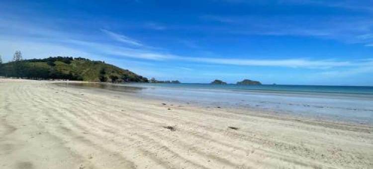 The Shearer's Cottage, Matauri Bay Retreat图片