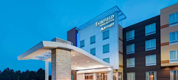 都柏林万豪万枫酒店(Fairfield Inn & Suites Dublin)图片