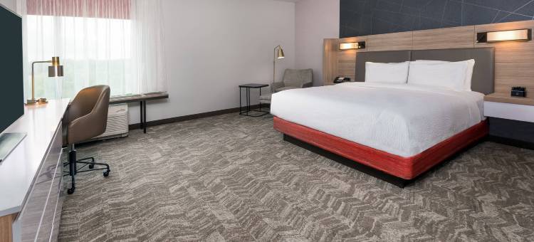 马里奥特拉克兰SpringHill套房(SpringHill Suites Lakeland)图片