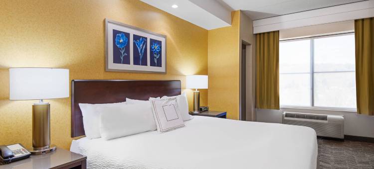 惠灵特瑞阿德尔福亚地区万豪SpringHill酒店(SpringHill Suites Wheeling Triadelphia Area)图片