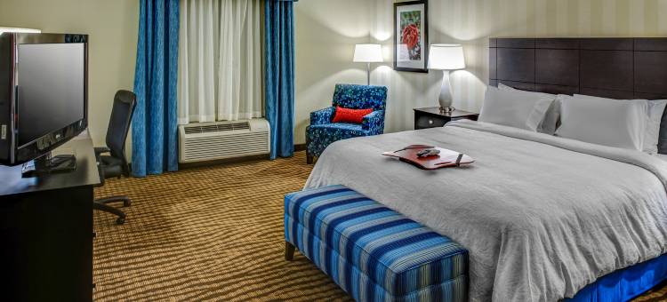 汤姆森欢朋酒店(Hampton Inn Thomson)图片