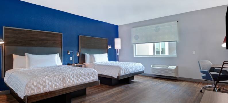 圣彼得堡市中心中央大街希尔顿特鲁酒店(Tru by Hilton St. Petersburg Downtown Central Ave)图片