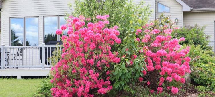 Clean and Comfortable Up-Scale Home in Country Setting图片