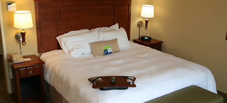 希尔顿欢朋套房酒店-帕迪尤卡(Hampton Inn & Suites Paducah)图片