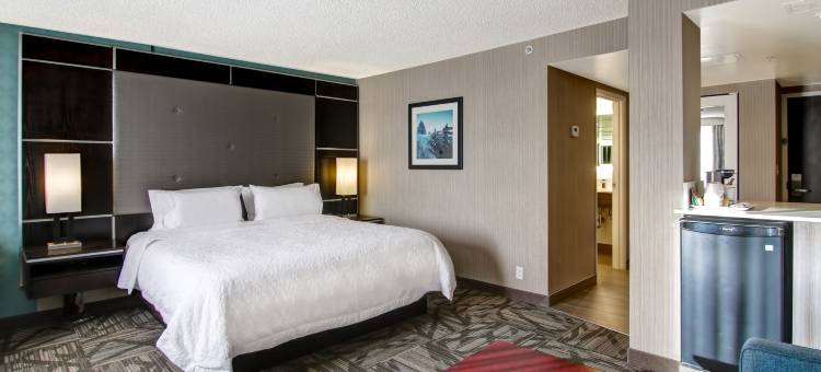 希尔顿欢朋套房酒店-卡尔加里西机场(Hampton Inn & Suites by Hilton Calgary-Airport)图片