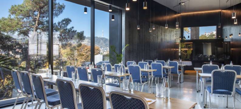 第比利斯金色郁金香设计酒店(Golden Tulip Design Tbilisi)图片