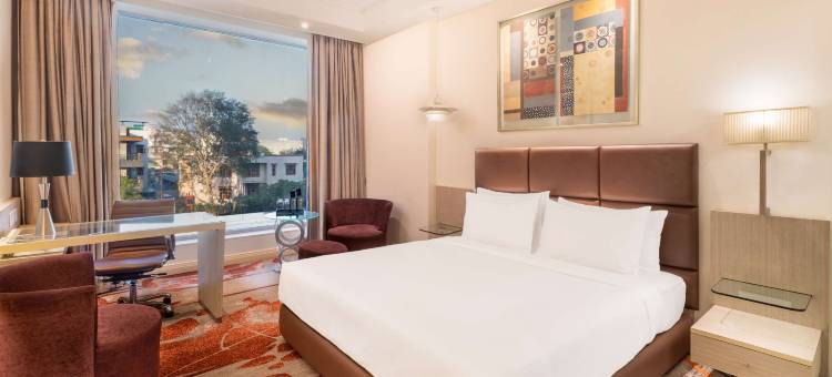 法里达巴德丽亭酒店(Park Plaza Faridabad)图片