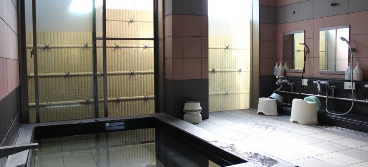Toyokawa Business Hotel图片