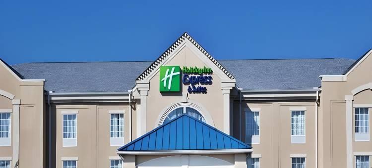 智选假日套房酒店奥兰治(Holiday Inn Express & Suites Orangeburg)图片