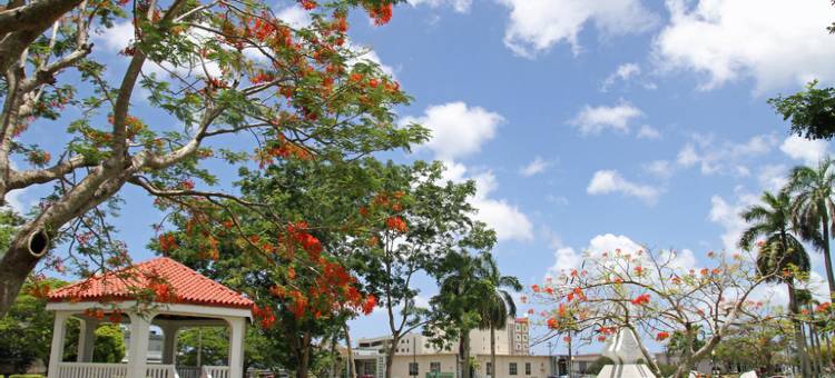 关岛机场南贝斯特韦斯特SureStay酒店(SureStay Hotel by Best Western Guam Airport South)图片