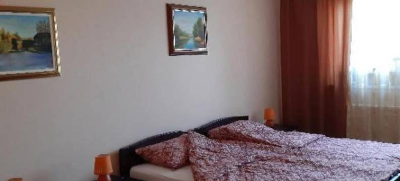 Čeliković公寓(Apartment Čeliković)图片