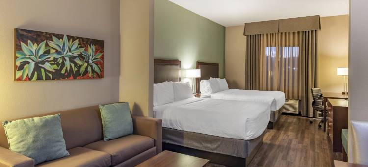 印第奥科切拉谷智选假日酒店(Holiday Inn Express & Suites Indio - Coachella Valley)图片